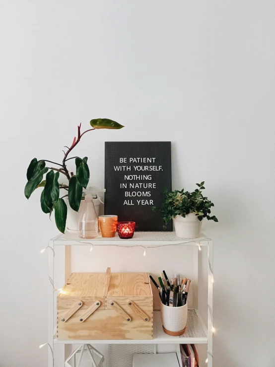 this is an image of a table and a plant on it