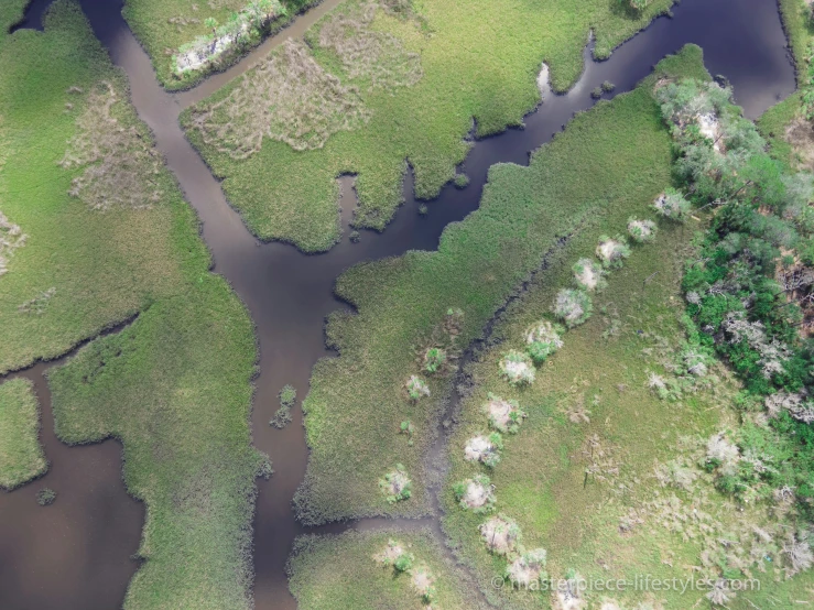 an aerial view of a river winding through a green forest