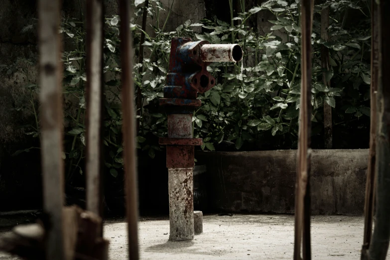 old rusty, rusted, painted fire hydrant with green plants in the background