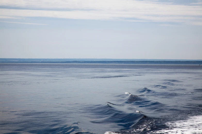 a large body of water with a sky background