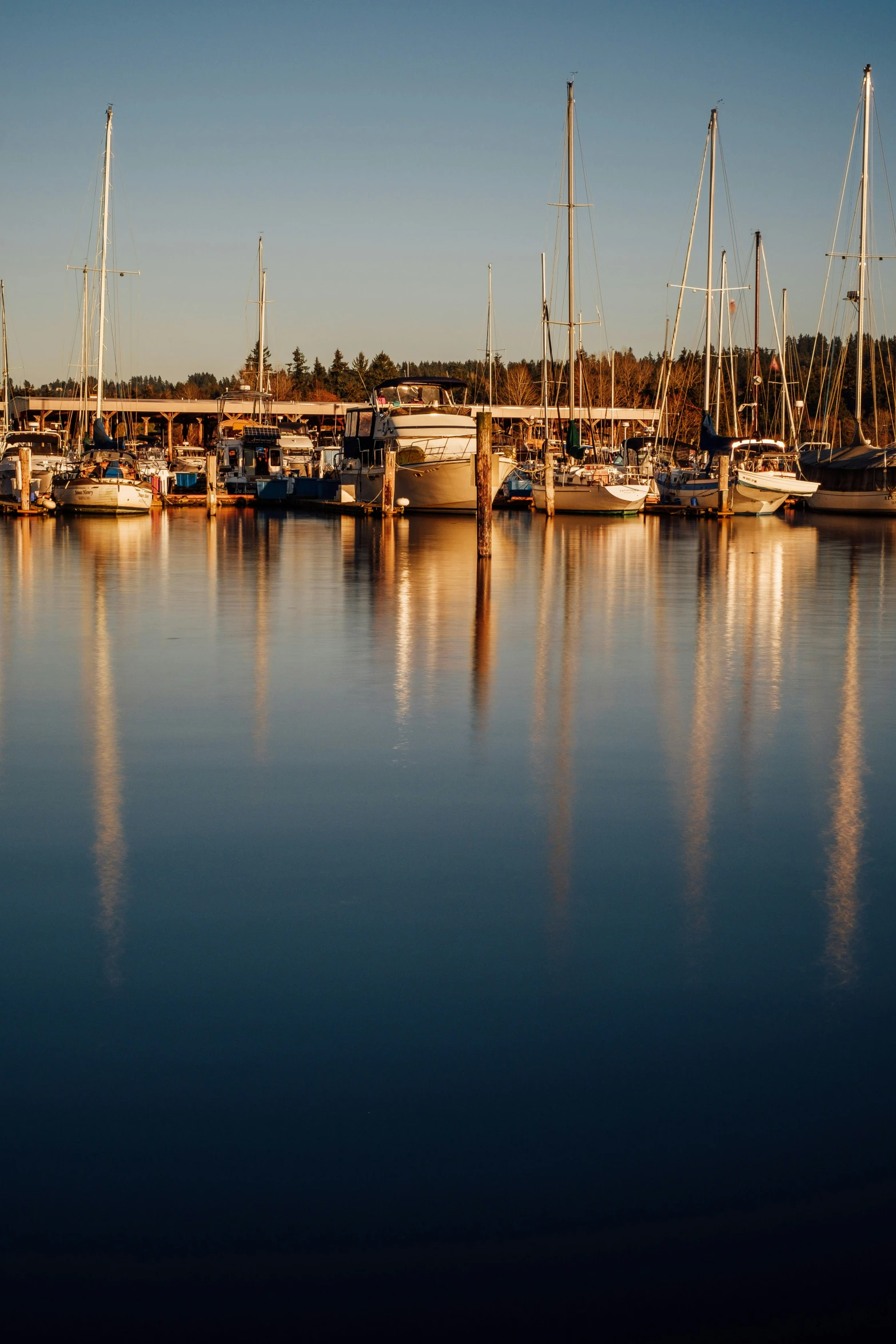 a bunch of boats parked at a dock