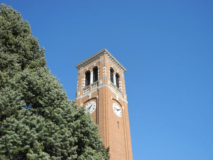 a tall brick clock tower surrounded by trees