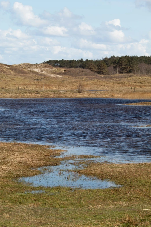 small body of water in a grassy field