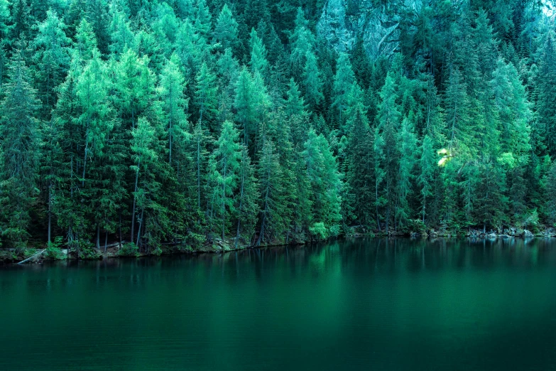 an aerial po of green water surrounded by trees