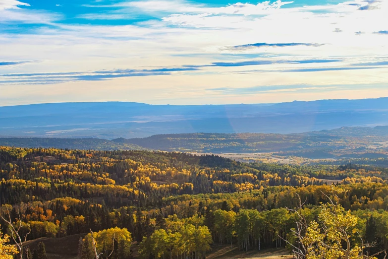 mountains are in the distance with colorful trees