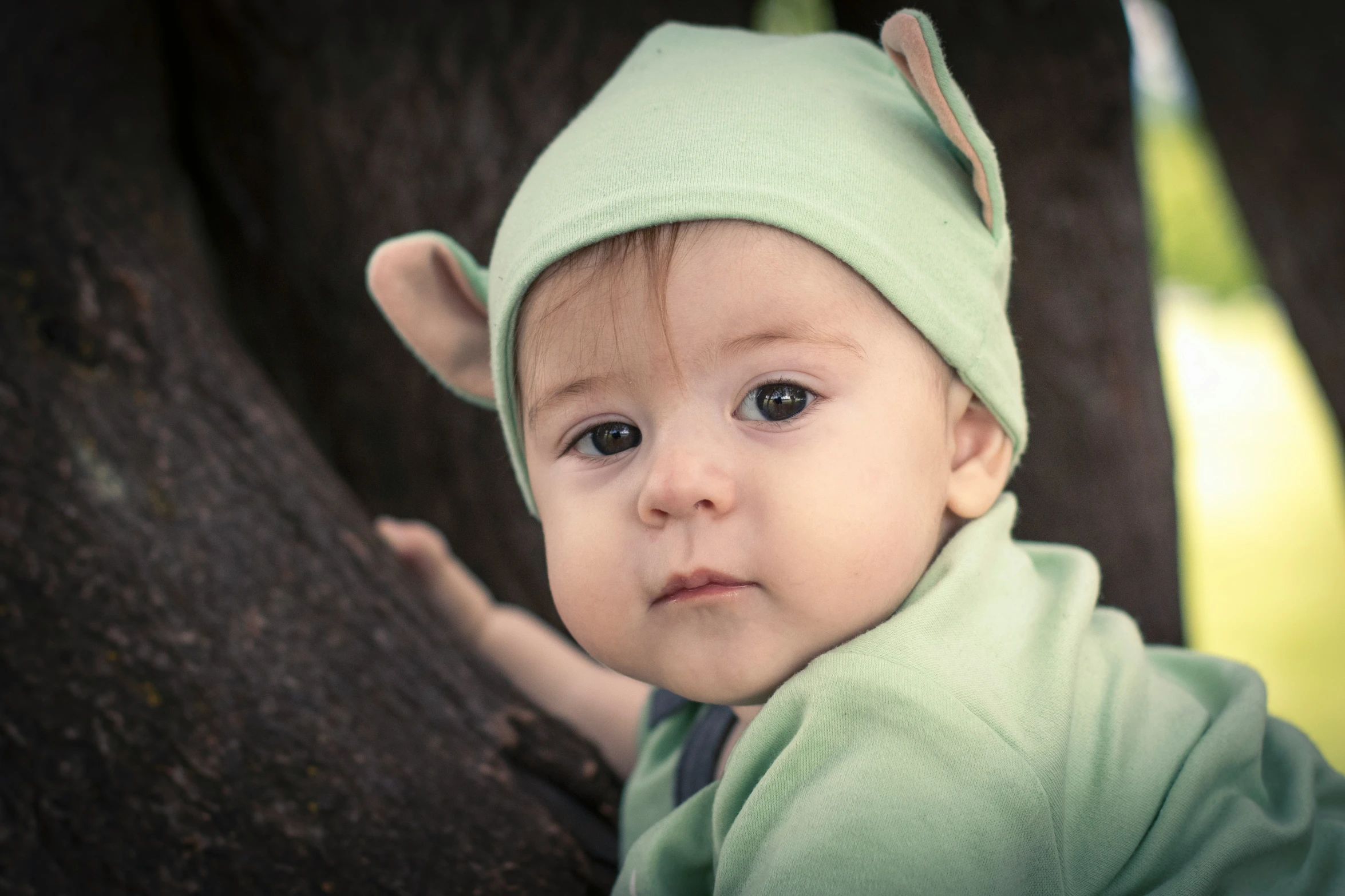 a small  sitting up against a tree