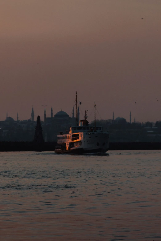 the large passenger ferry is sailing along the water