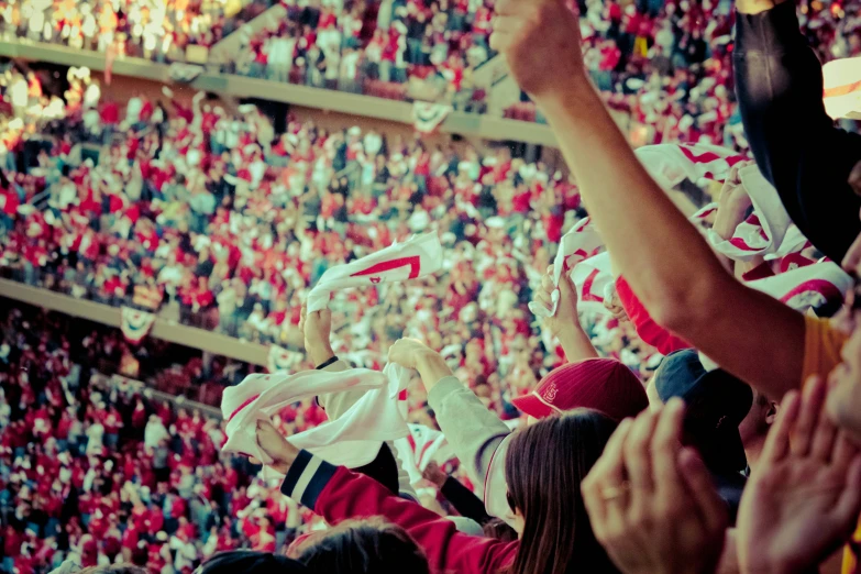 a bunch of fans at a game, one holding up a flag