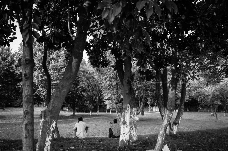 black and white pograph of people sitting and standing under trees