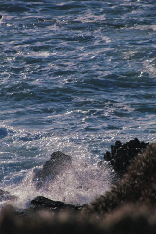 a bird is sitting on the edge of a rock near some water