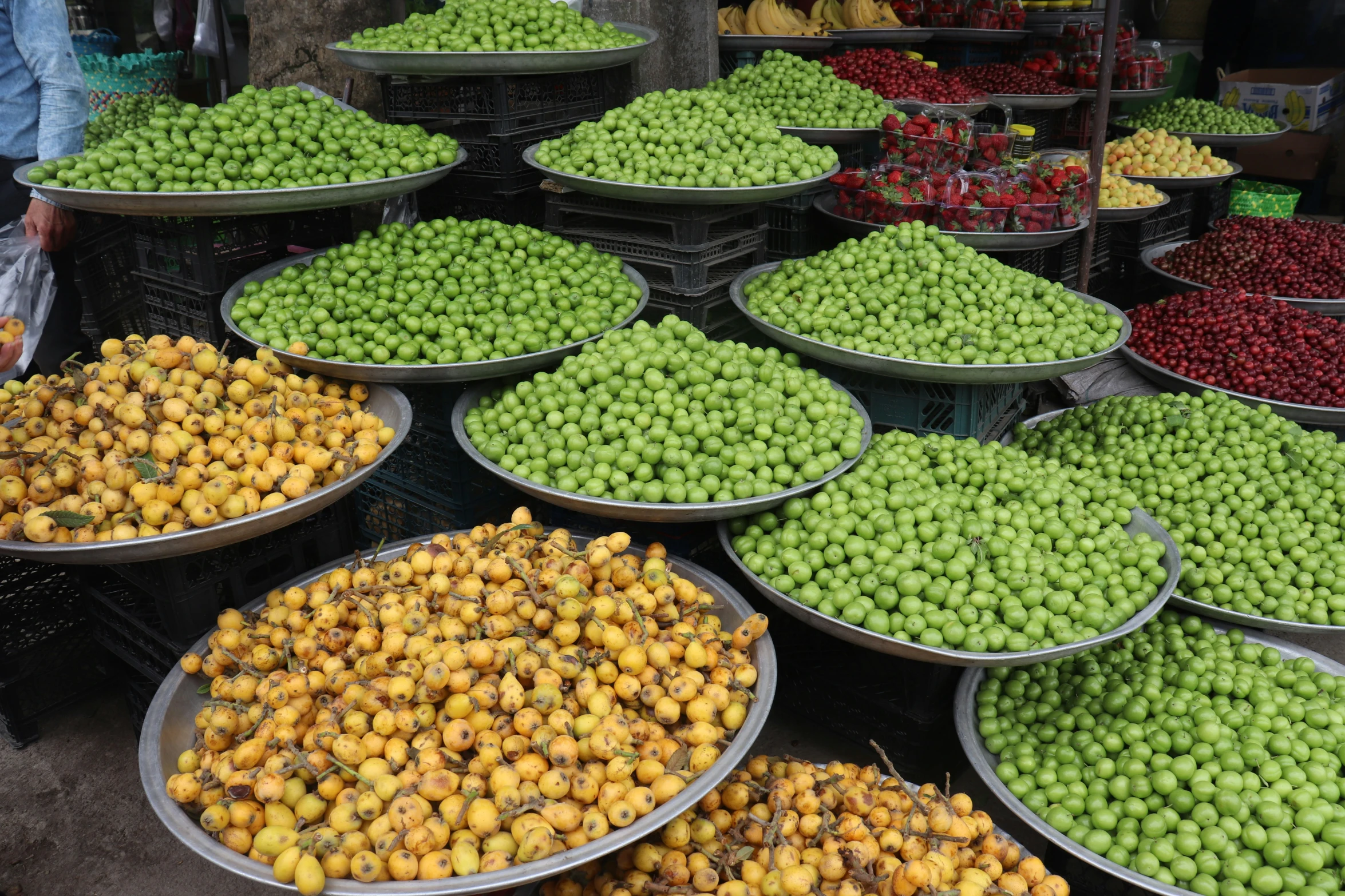 several large trays filled with different fruits