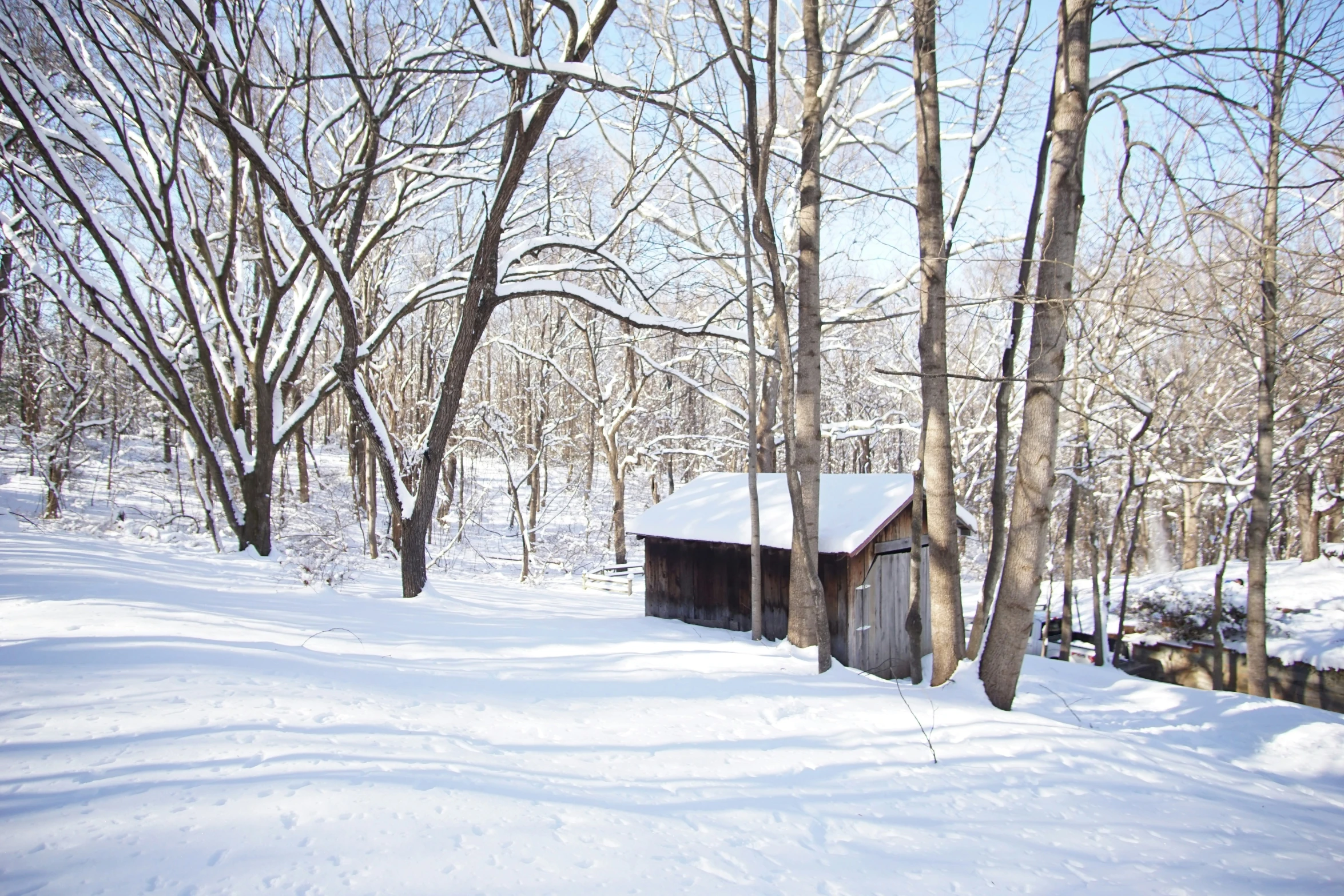 a snowy field with some trees, houses and water