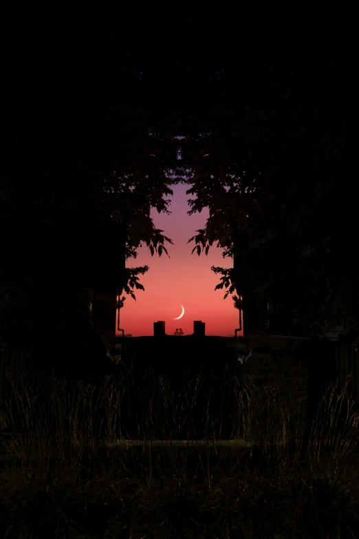 sunset and trees in the distance with a crescent