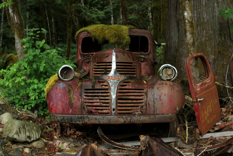 an old rusty car sitting next to a tree