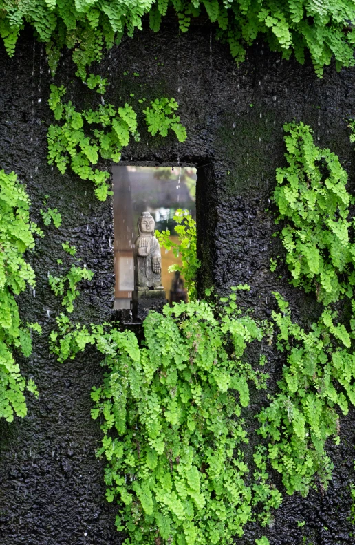 a mirror embedded into a plant covered wall