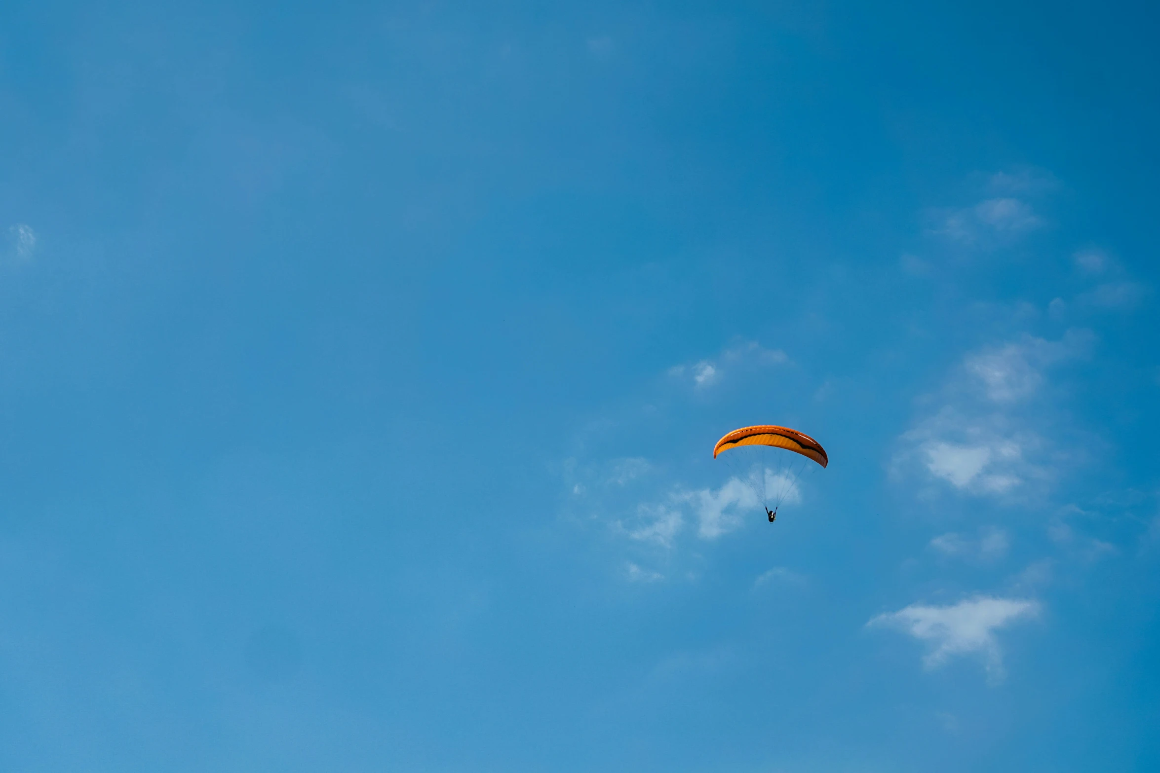 two kites fly through the blue sky in a cloudless day