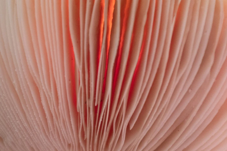 the light is reflecting on the background of the pleated fabric