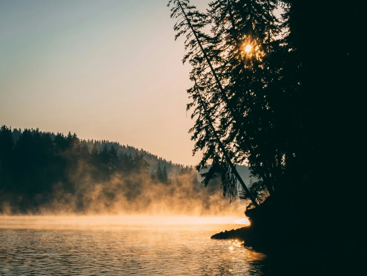 the sun shines brightly behind some trees in a lake