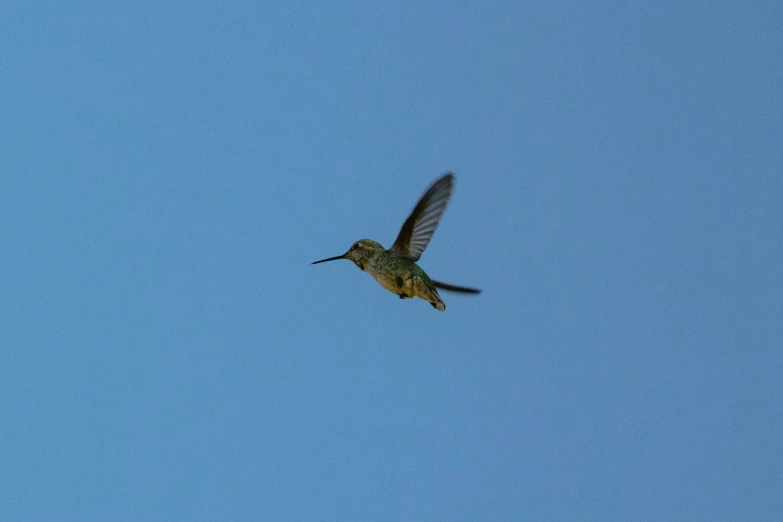 a hummingbird flying in the sky with wings spread