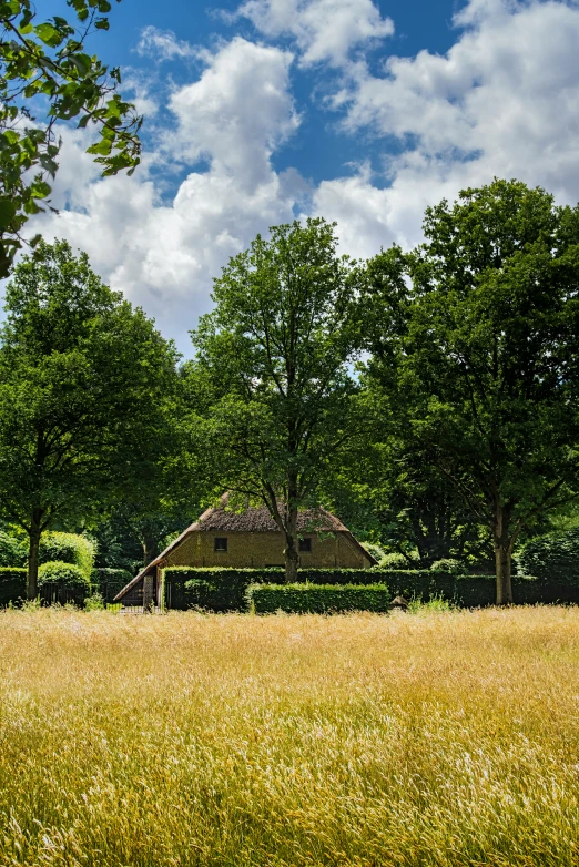 a field with trees in the background under a blue sky with clouds