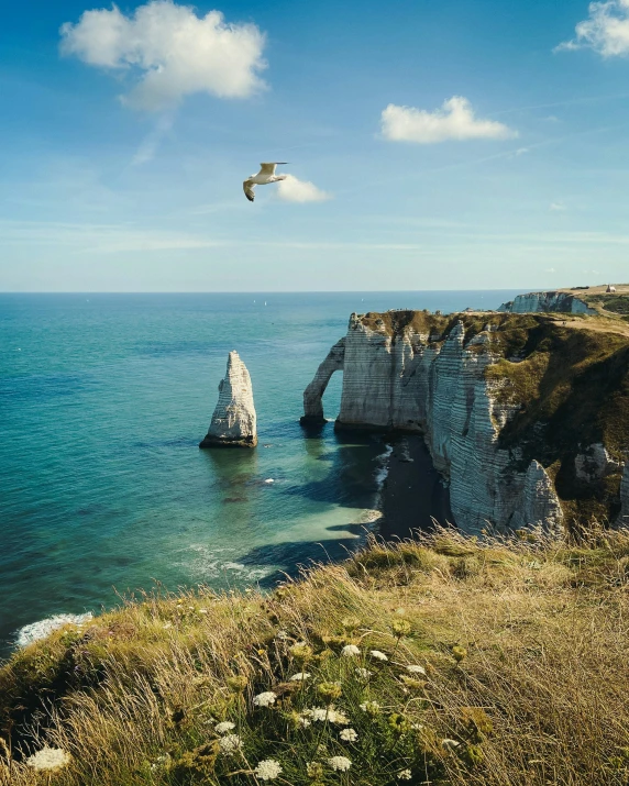 a bird flying over the ocean next to some rocks