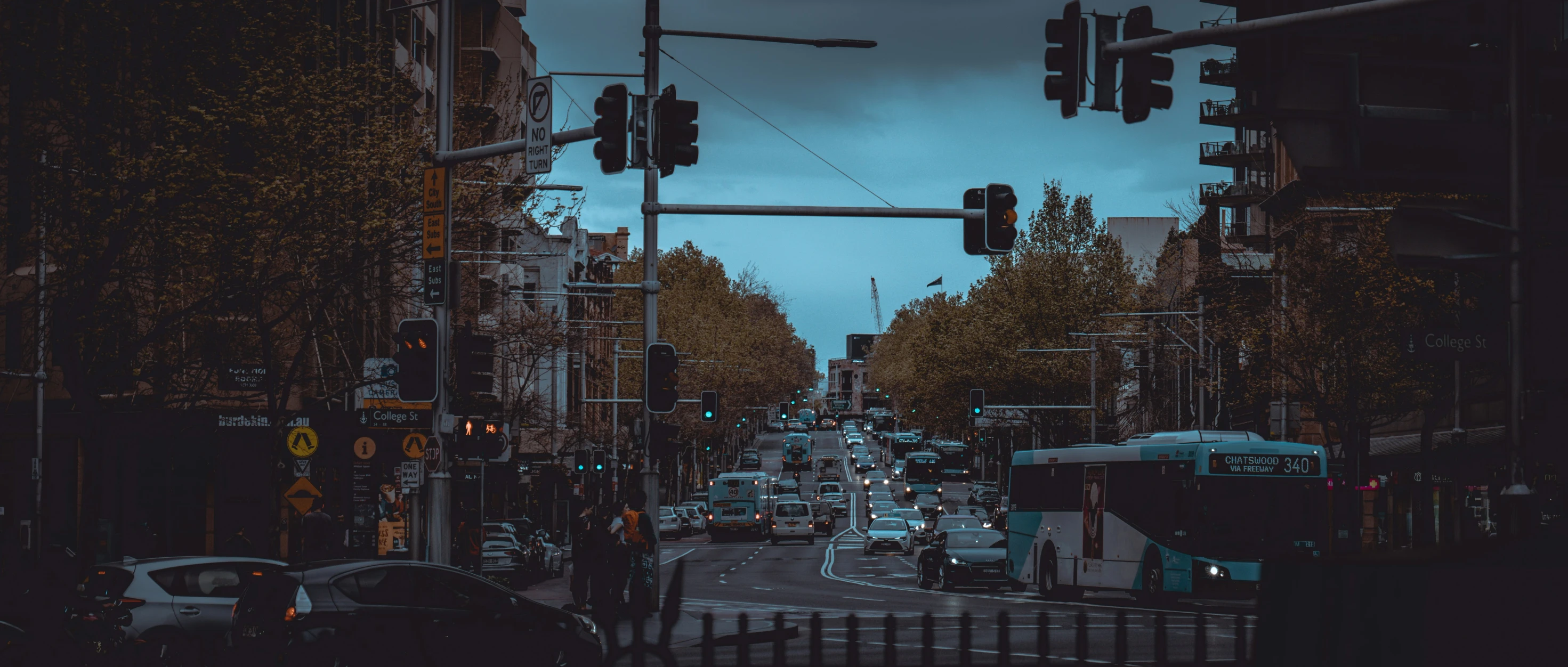 a city street lined with tall trees under a cloudy sky