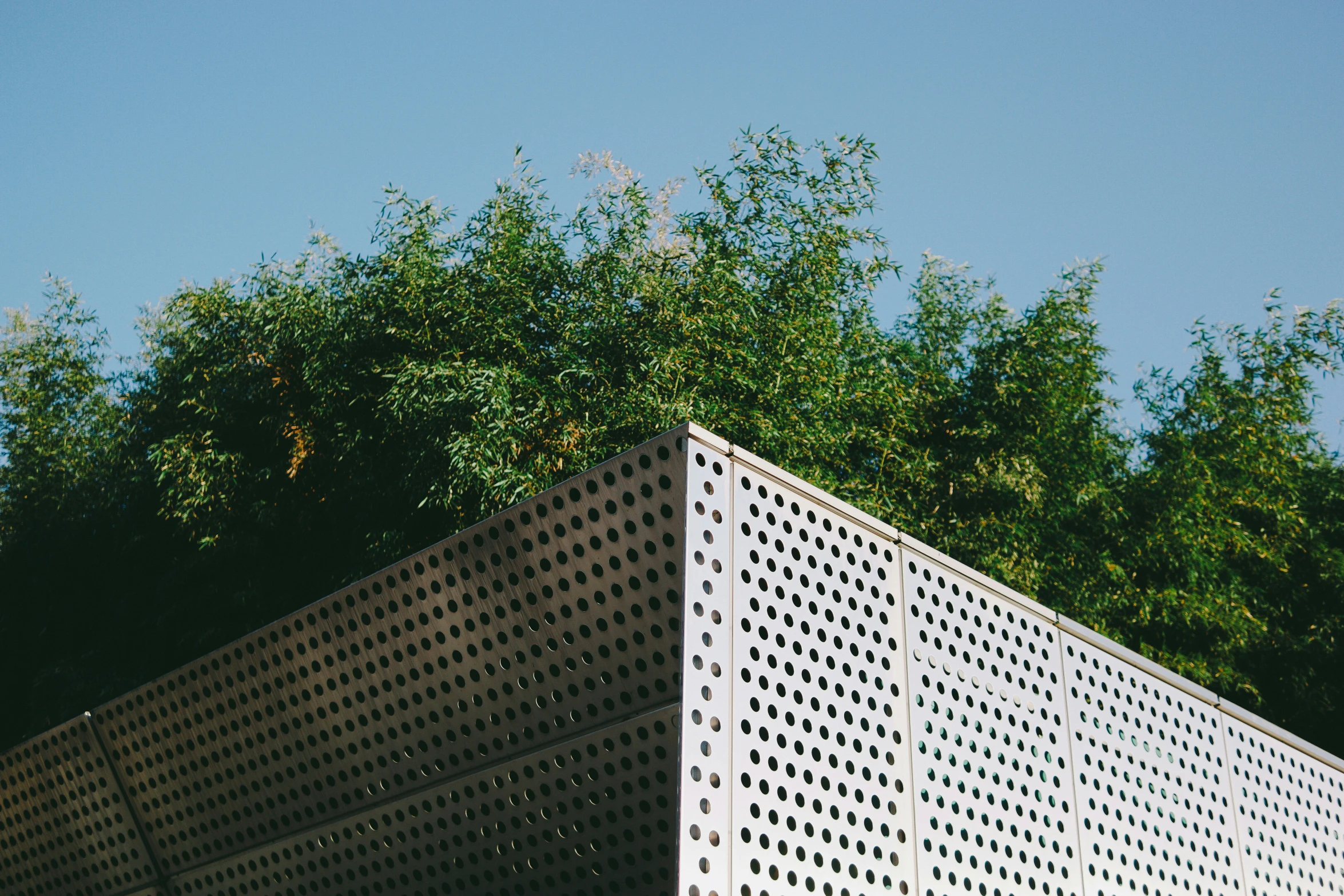 a close - up of the side of a wall in front of trees