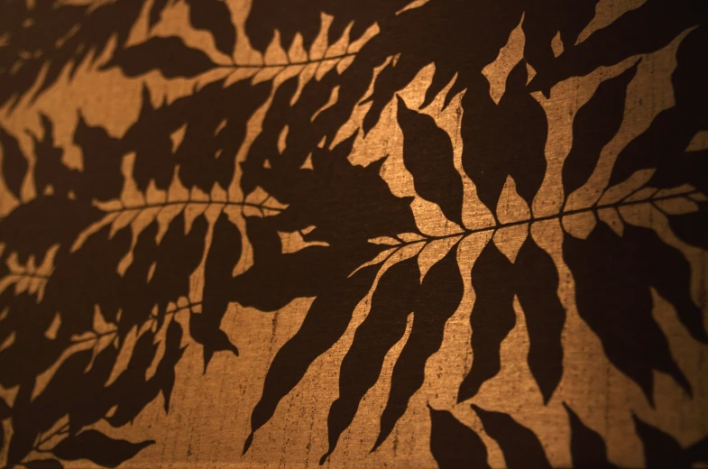 a shadow of leaves on a wood texture