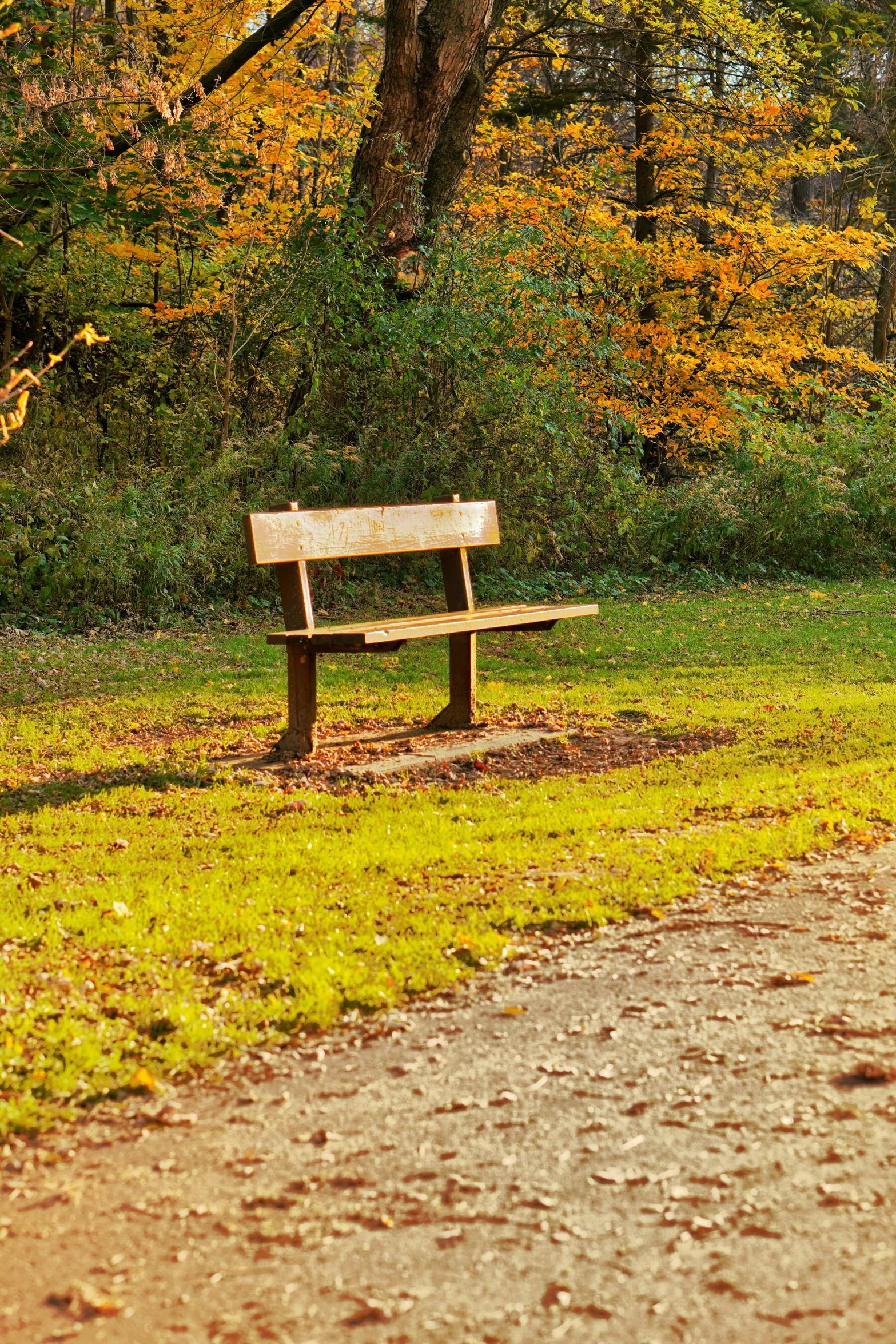 a wooden bench on a path in a park