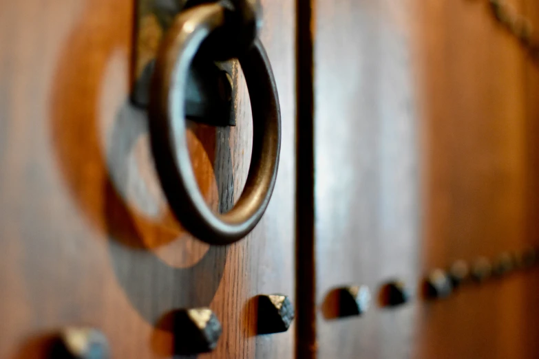 wooden door handles and a metal ring