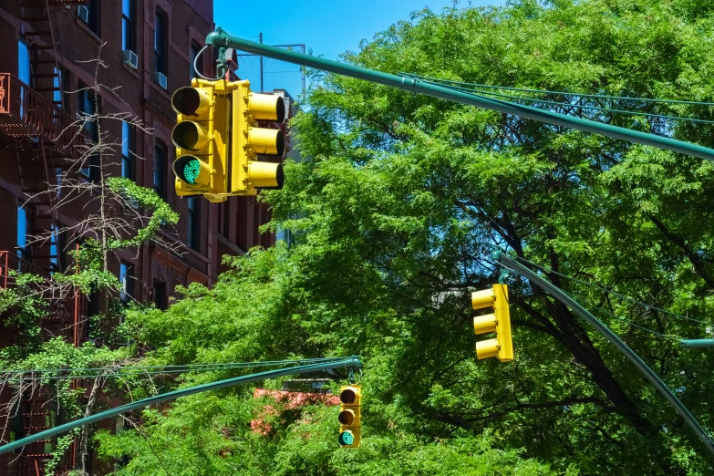 there are traffic lights in the city along side buildings