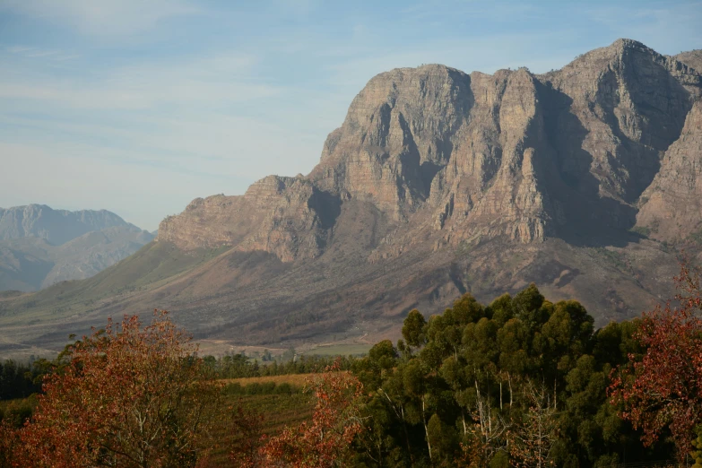 a mountain is surrounded by a wooded area with many trees