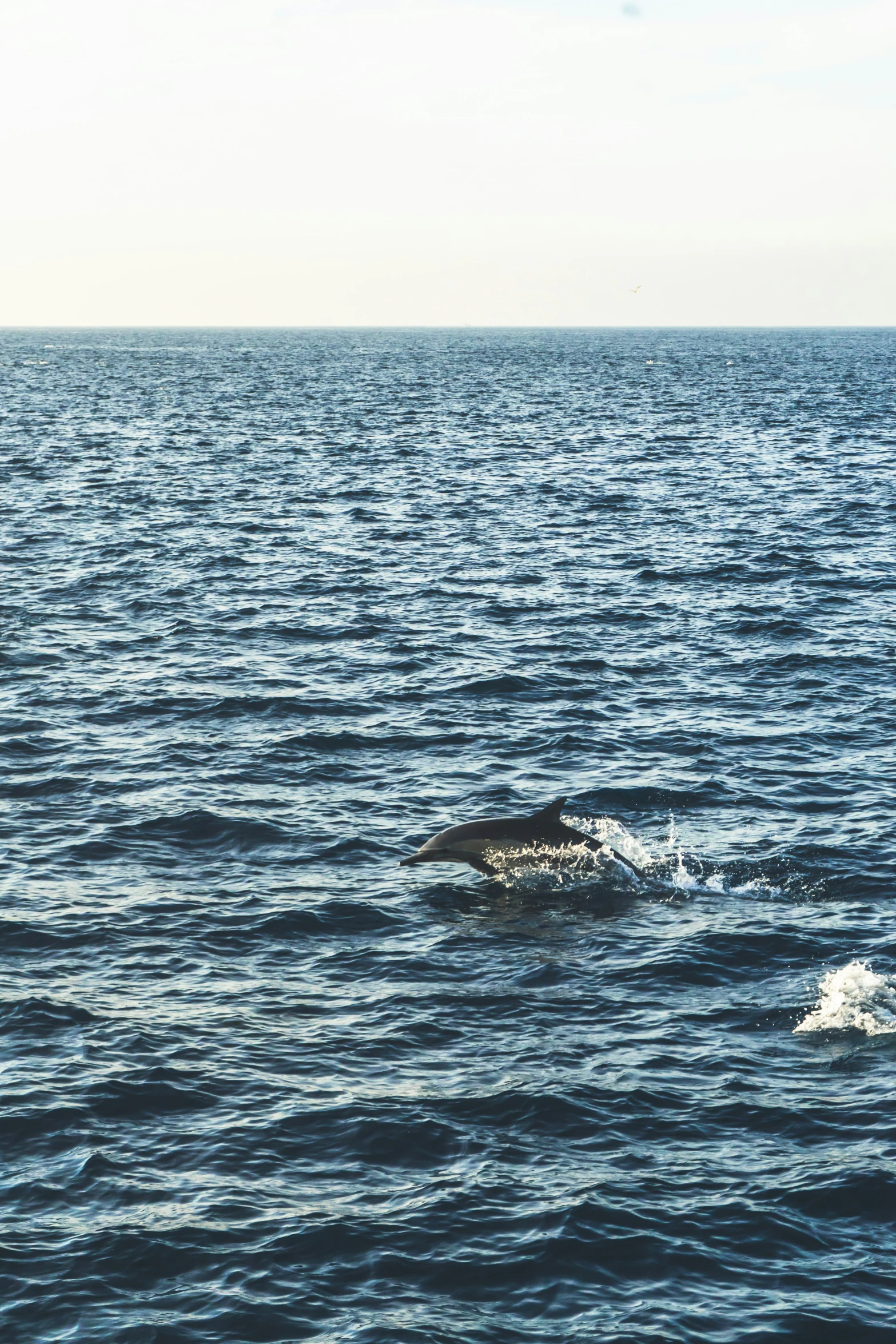 a person is swimming in the ocean with an umbrella