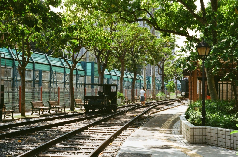 a small train on a steel track between some trees