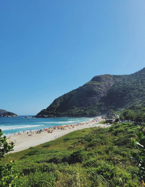 a sandy beach and forested area with mountain in the background