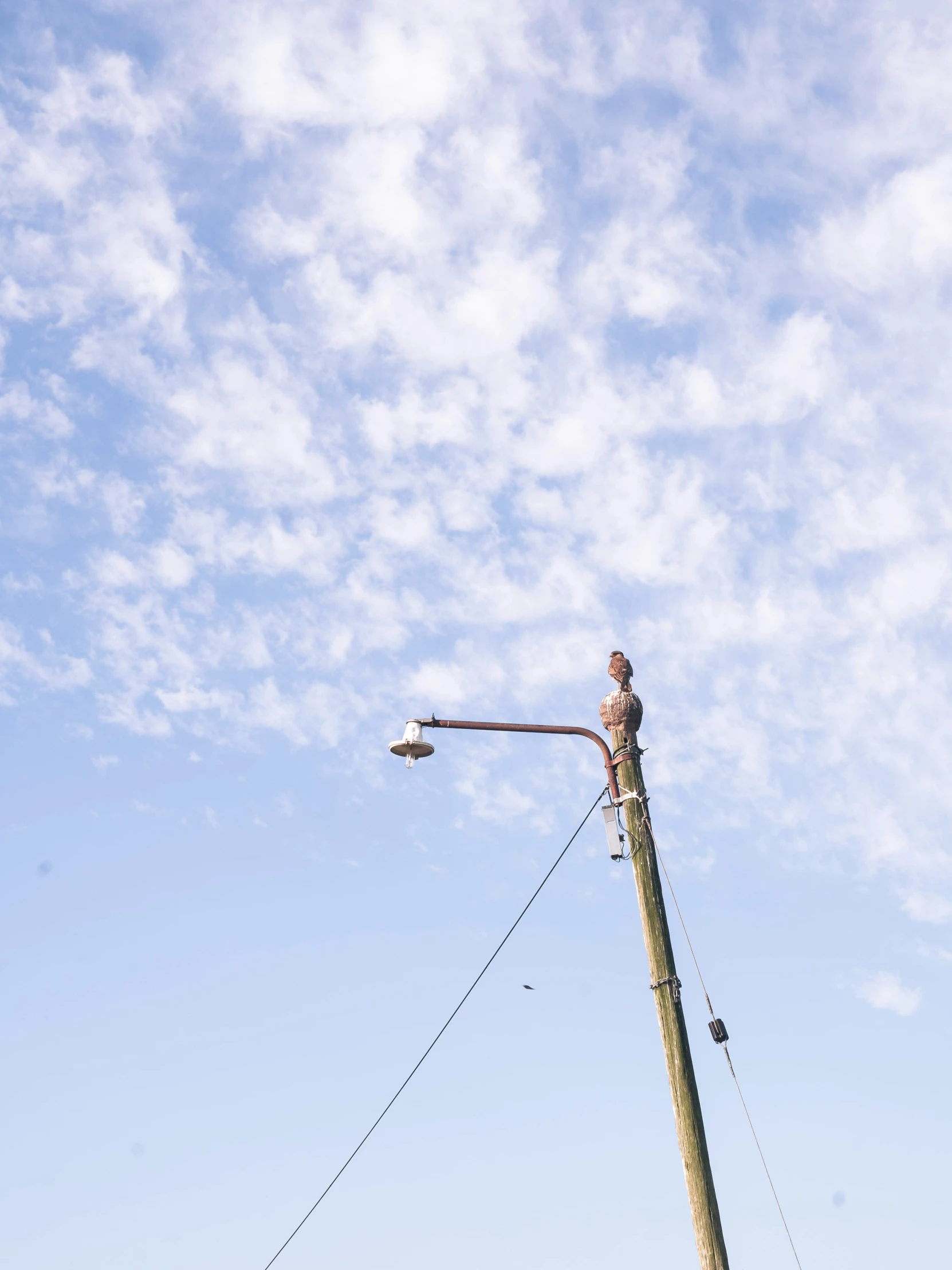 a man sitting on top of a wooden pole next to a power line