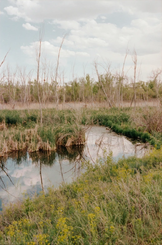 a water pond sitting between two grassy areas