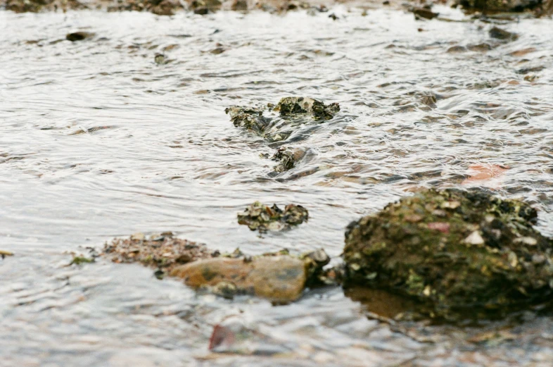 there are rocks that have been sitting in the water