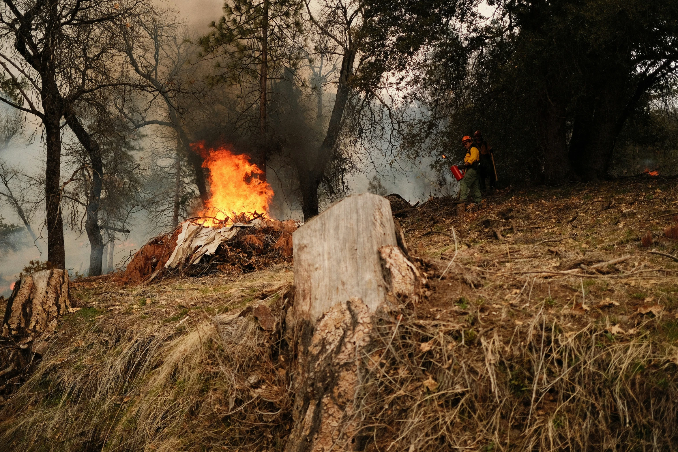 a couple of men standing next to a fire in the woods