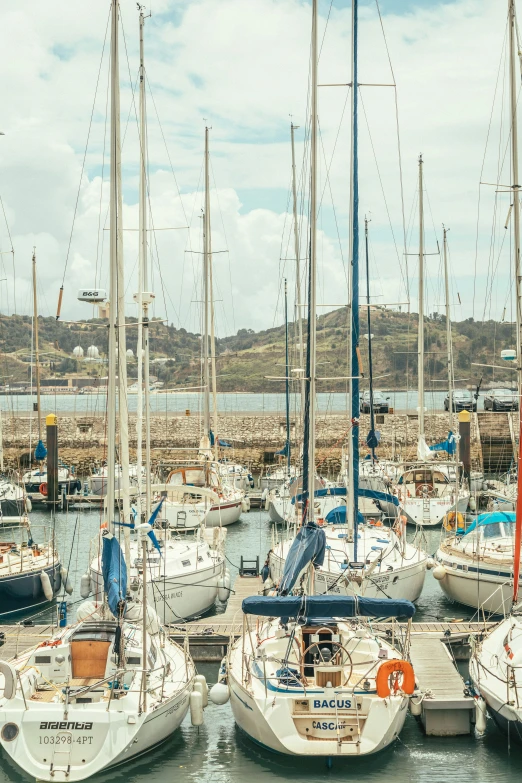 many sailboats at the dock on the water