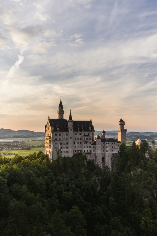 a castle is located in the middle of a forest