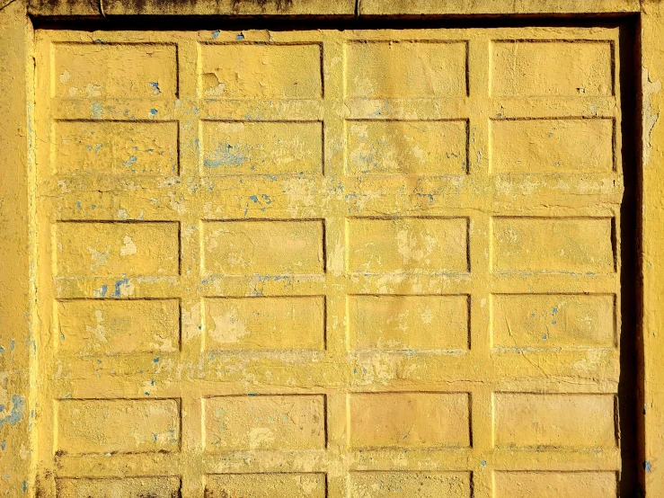 a small dog in a red hat standing by a yellow wall