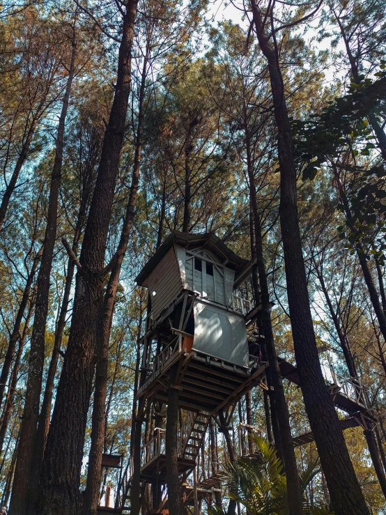 the tree house is built inside a tall forest