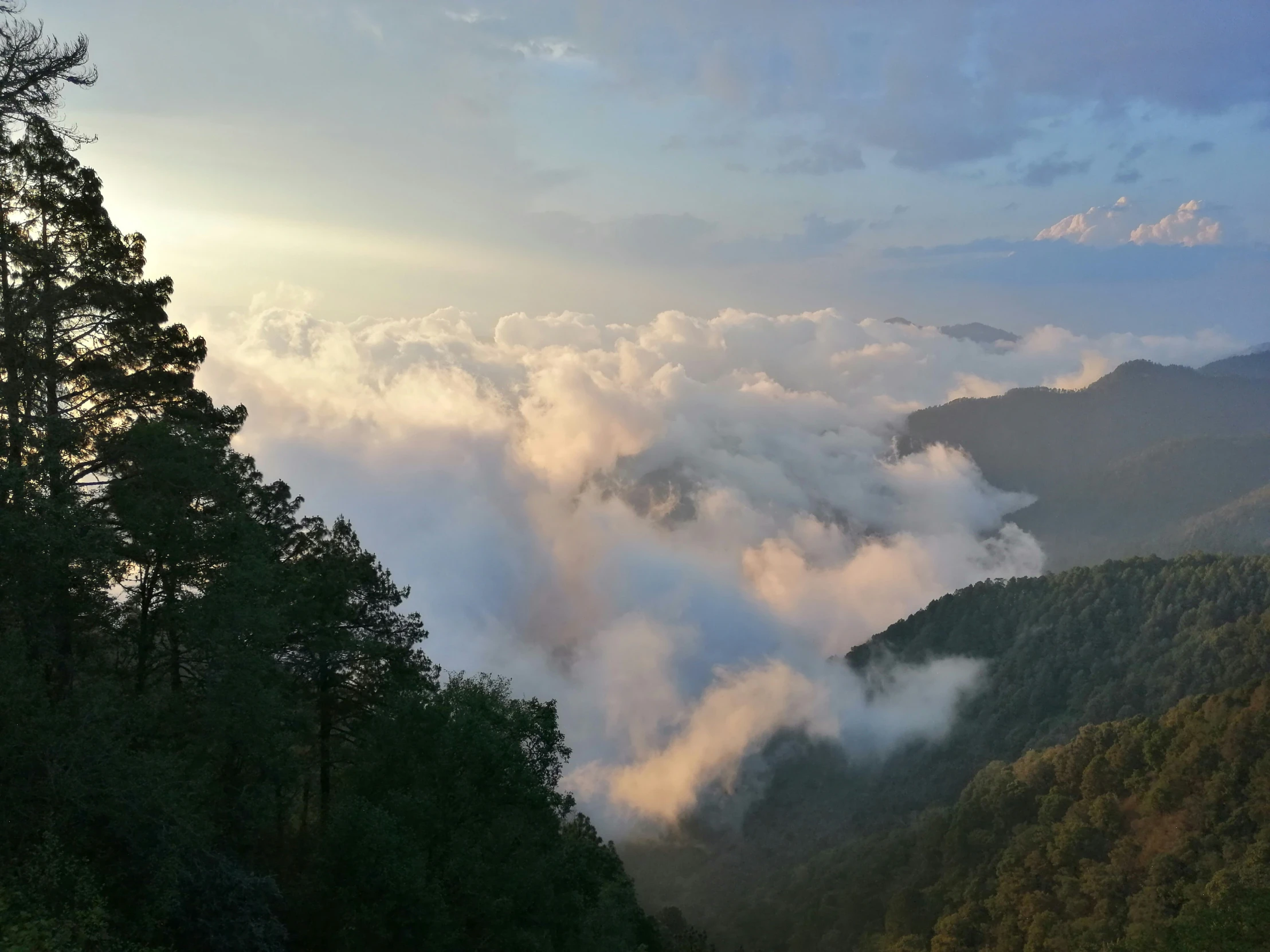 clouds over forested mountains with trees below