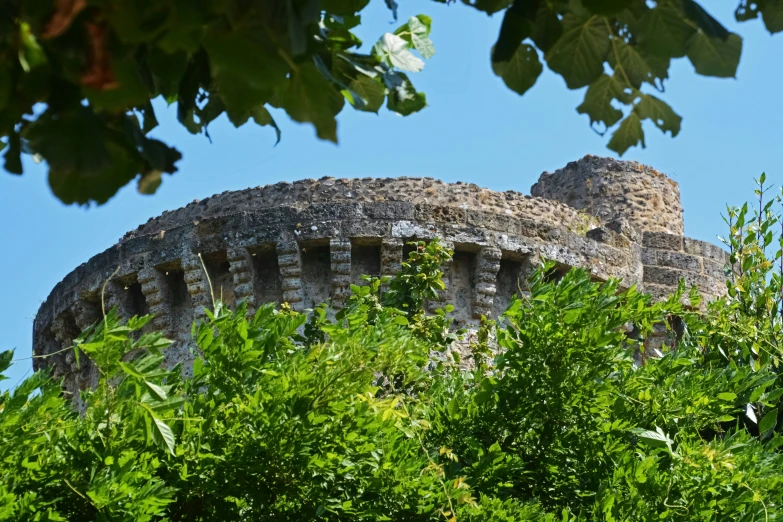 a picture of a tower taken through some leaves