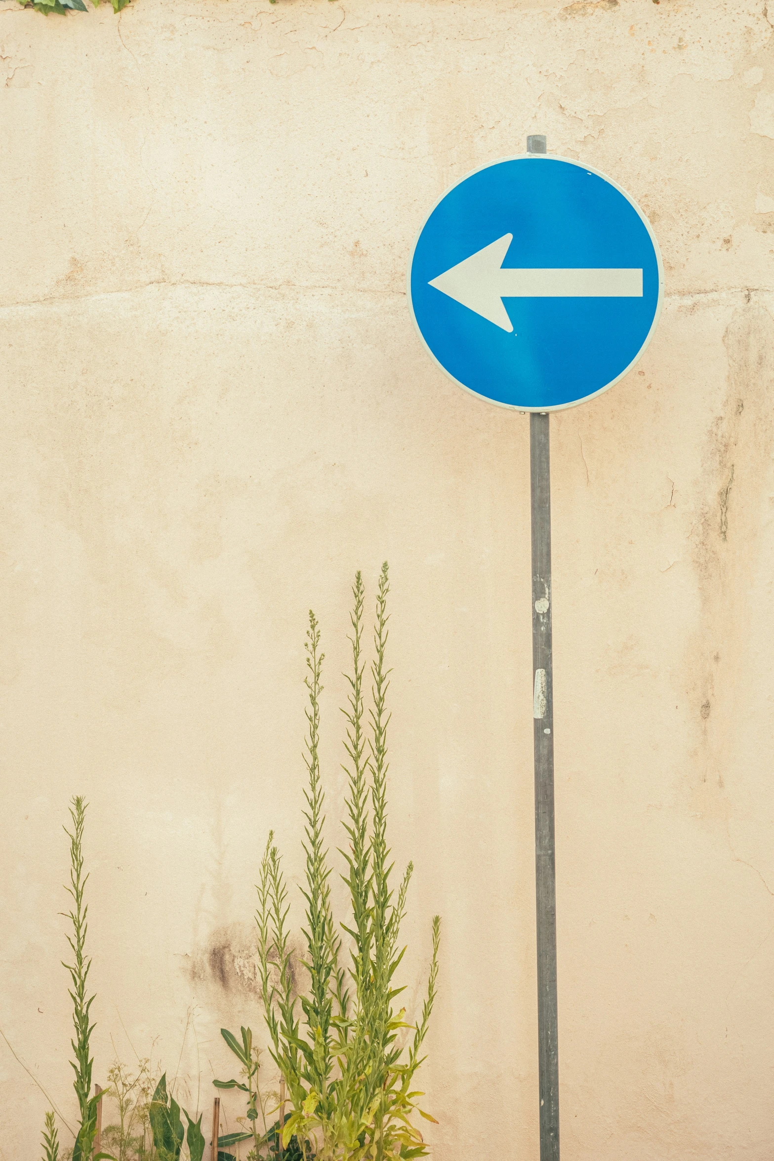 a blue sign that has an arrow pointing left next to grass