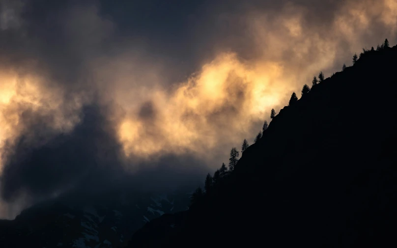 clouds in the sky above pine trees