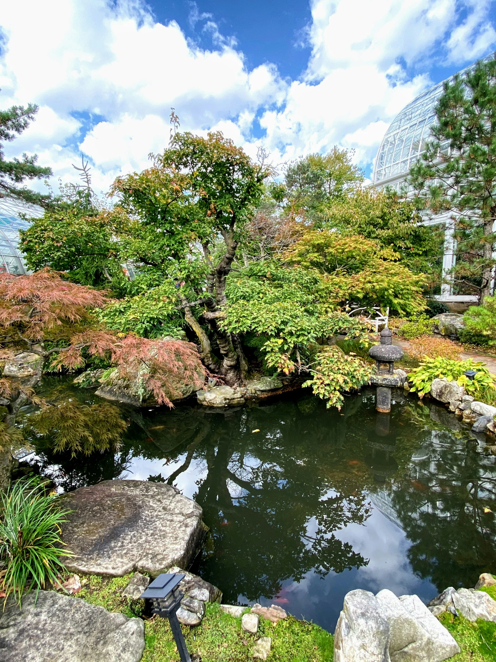 a pond in a japanese garden surrounded by stones and trees