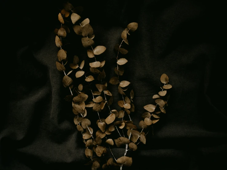 necklace with brown beads laying on black background