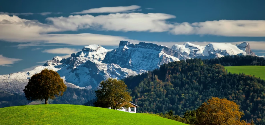 mountains rise into the sky above the trees